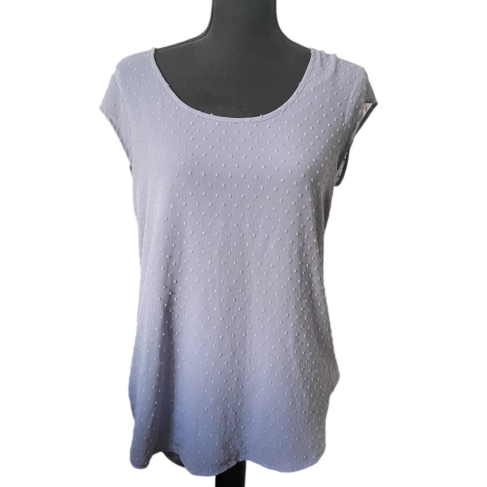 DR2 powder blue blouse